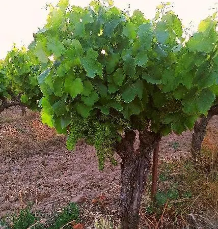 De La Petite Hutte * Codolet